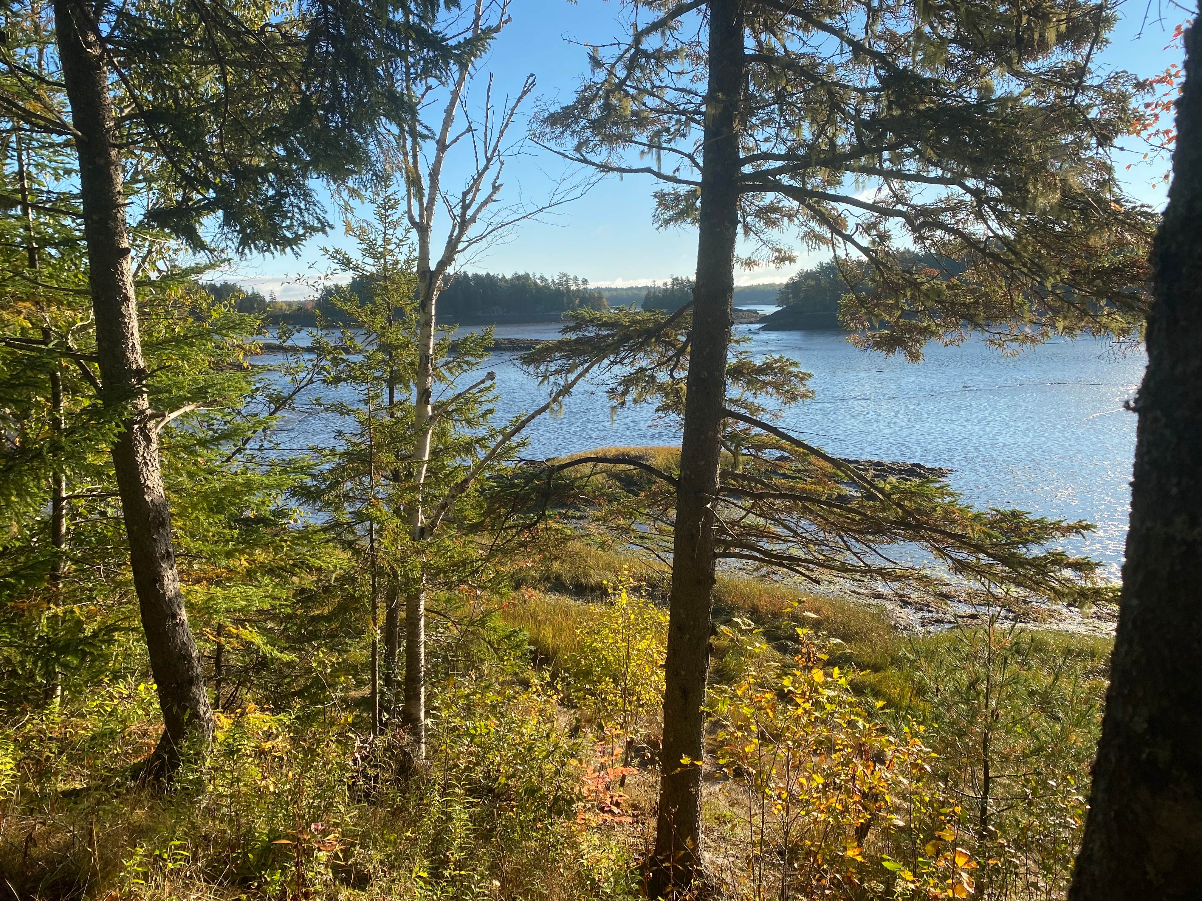 Camper-submitted photo at Cobscook Bay State Park Campground in Maine