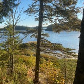 Review photo of Cobscook Bay State Park Campground by Thornton B., October 3, 2020