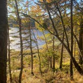 Review photo of Cobscook Bay State Park by Thornton B., October 3, 2020