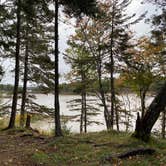 Review photo of Cobscook Bay State Park by Thornton B., October 3, 2020