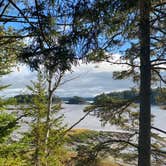 Review photo of Cobscook Bay State Park by Thornton B., October 3, 2020