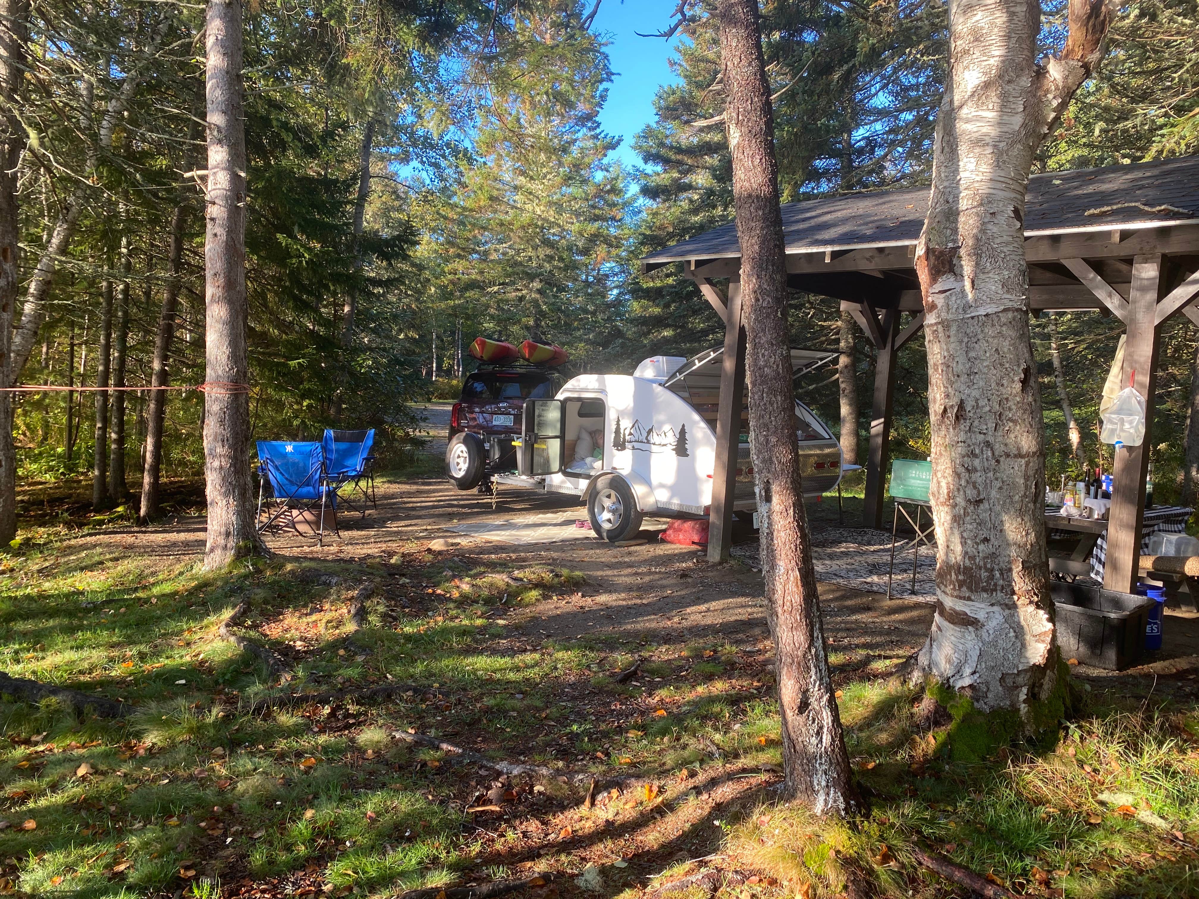 Thornton B.'s photo at Cobscook Bay State Park Campground near Grand Lake Stream, ME