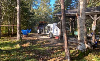 Thornton B.'s photo at Cobscook Bay State Park Campground near Machiasport, ME