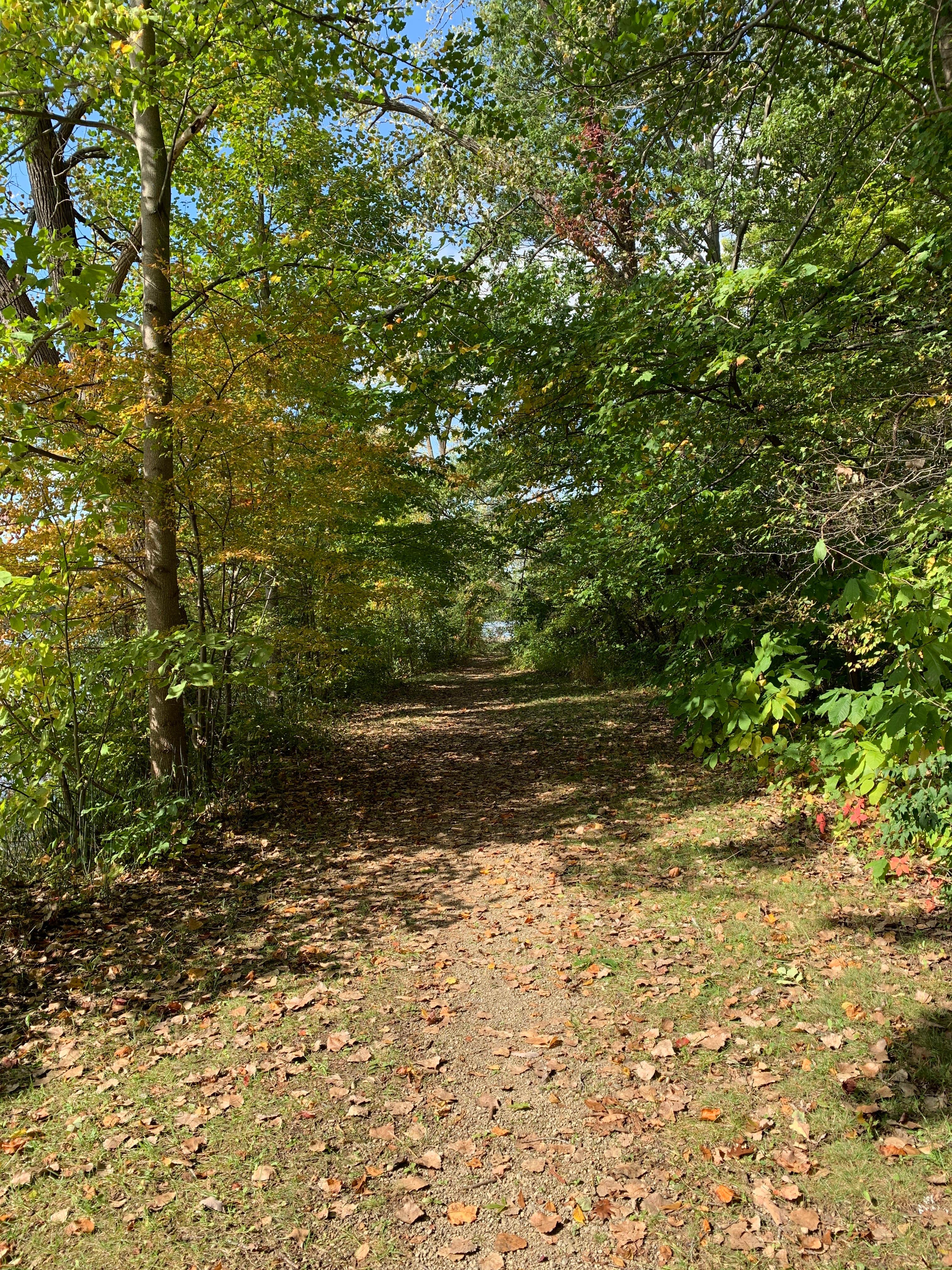 Camper-submitted photo at Kiser Lake State Park Campground near Troy, OH