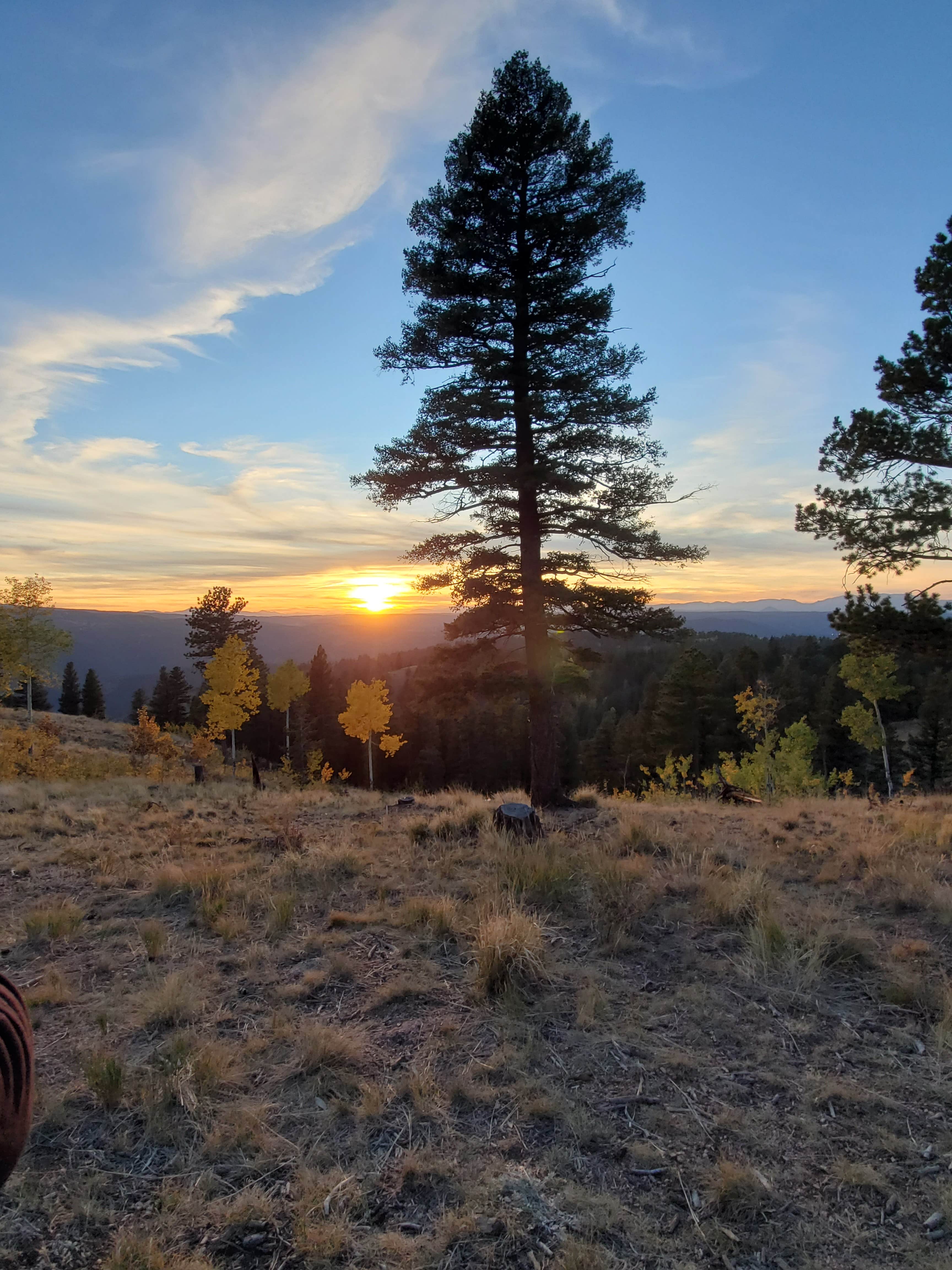 Heather C.'s photo of a dispersed camping area at Cascade-Chipita Park/Woodland Park near Pueblo, CO