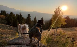 Heather C.'s photo of camping with pets at Cascade-Chipita Park/Woodland Park near Green Mountain Falls, CO