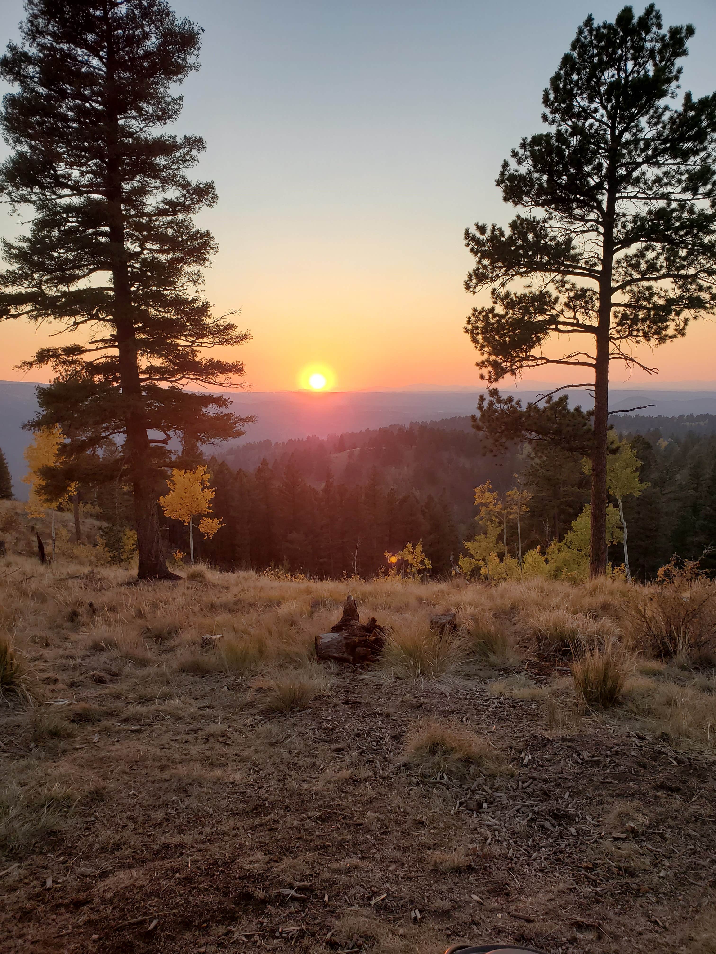 Heather C.'s photo of a dispersed camping area at Cascade-Chipita Park/Woodland Park near Cimarron, CO