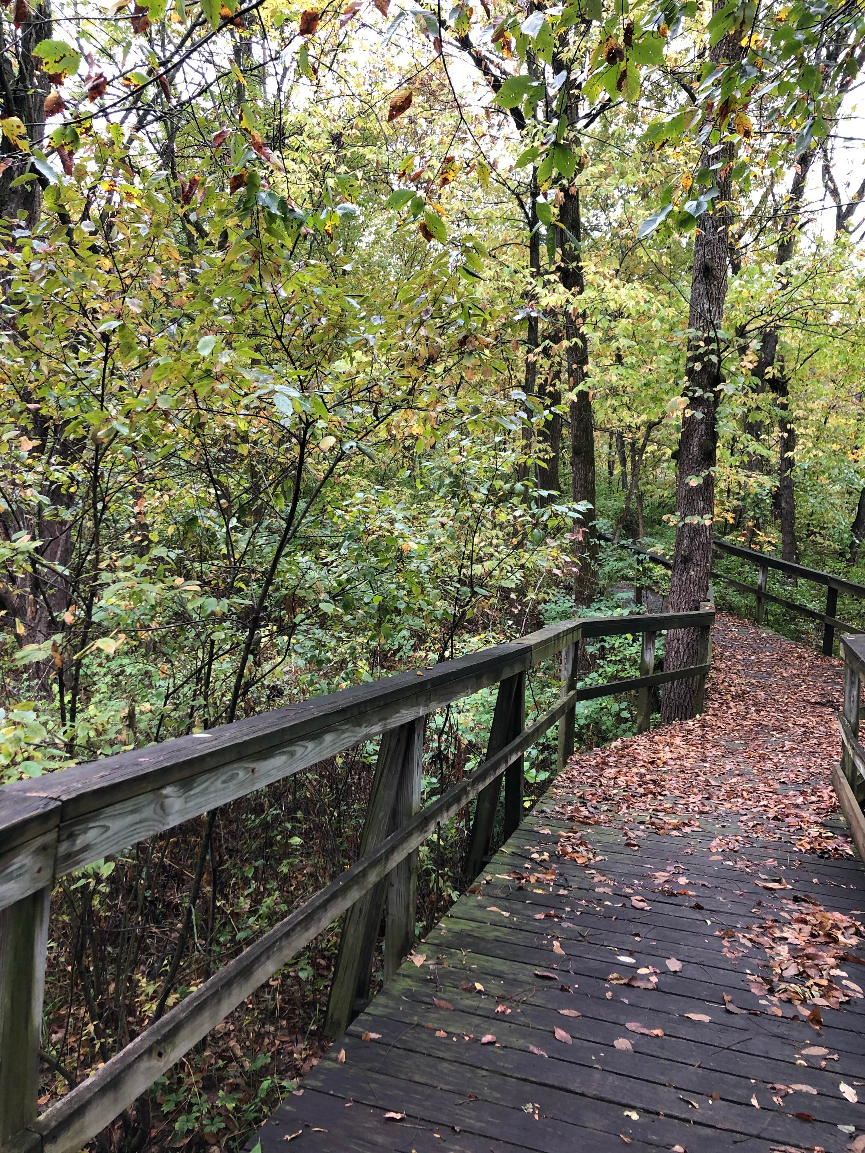 Camper-submitted photo at Grant Park (Warren County Consevation Board) near Swan, IA