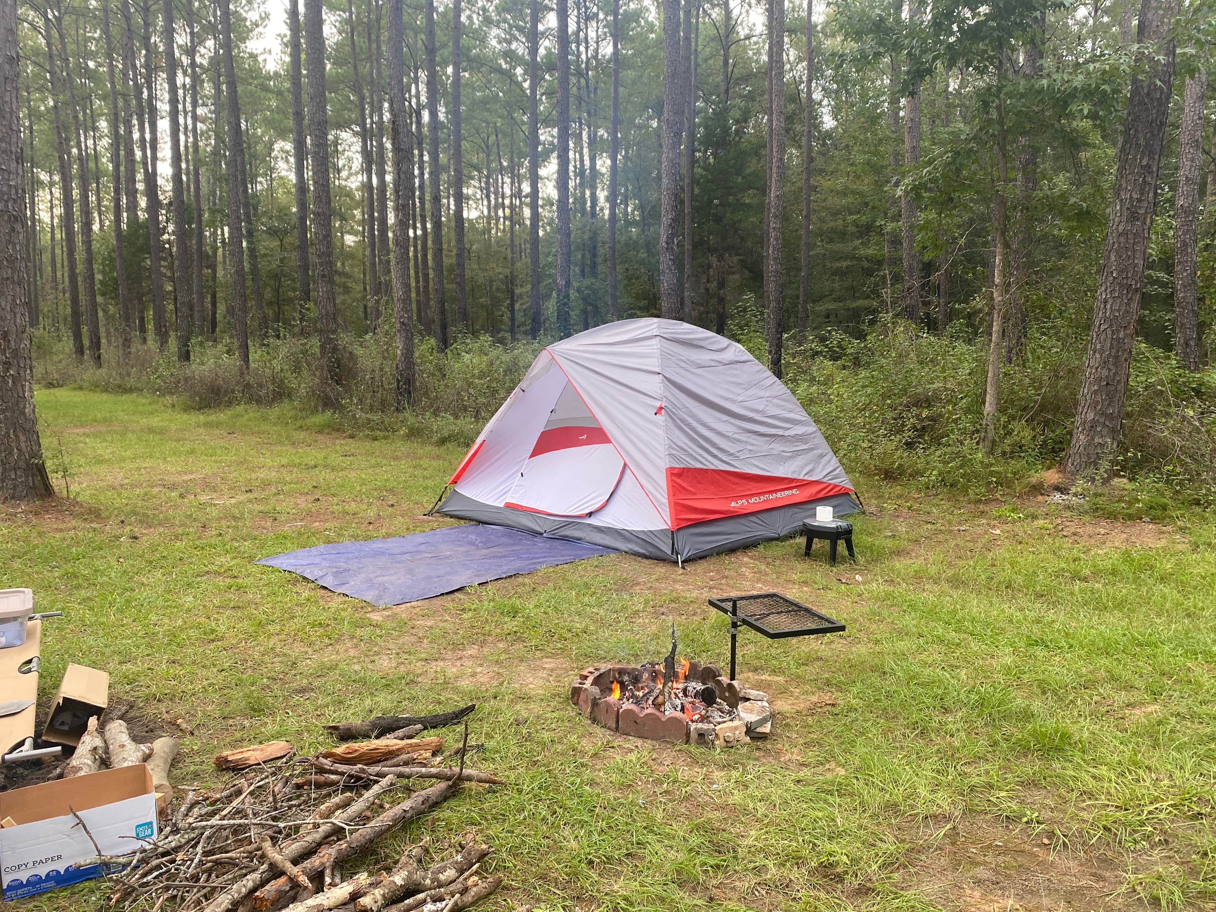 Monte W.'s photo at Jeff Davis County Towns Bluff Park RV Park and Campground near Twin City, GA