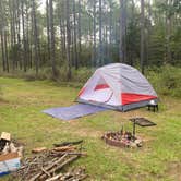 Review photo of Jeff Davis County Towns Bluff Park RV Park and Campground by Monte W., October 3, 2020