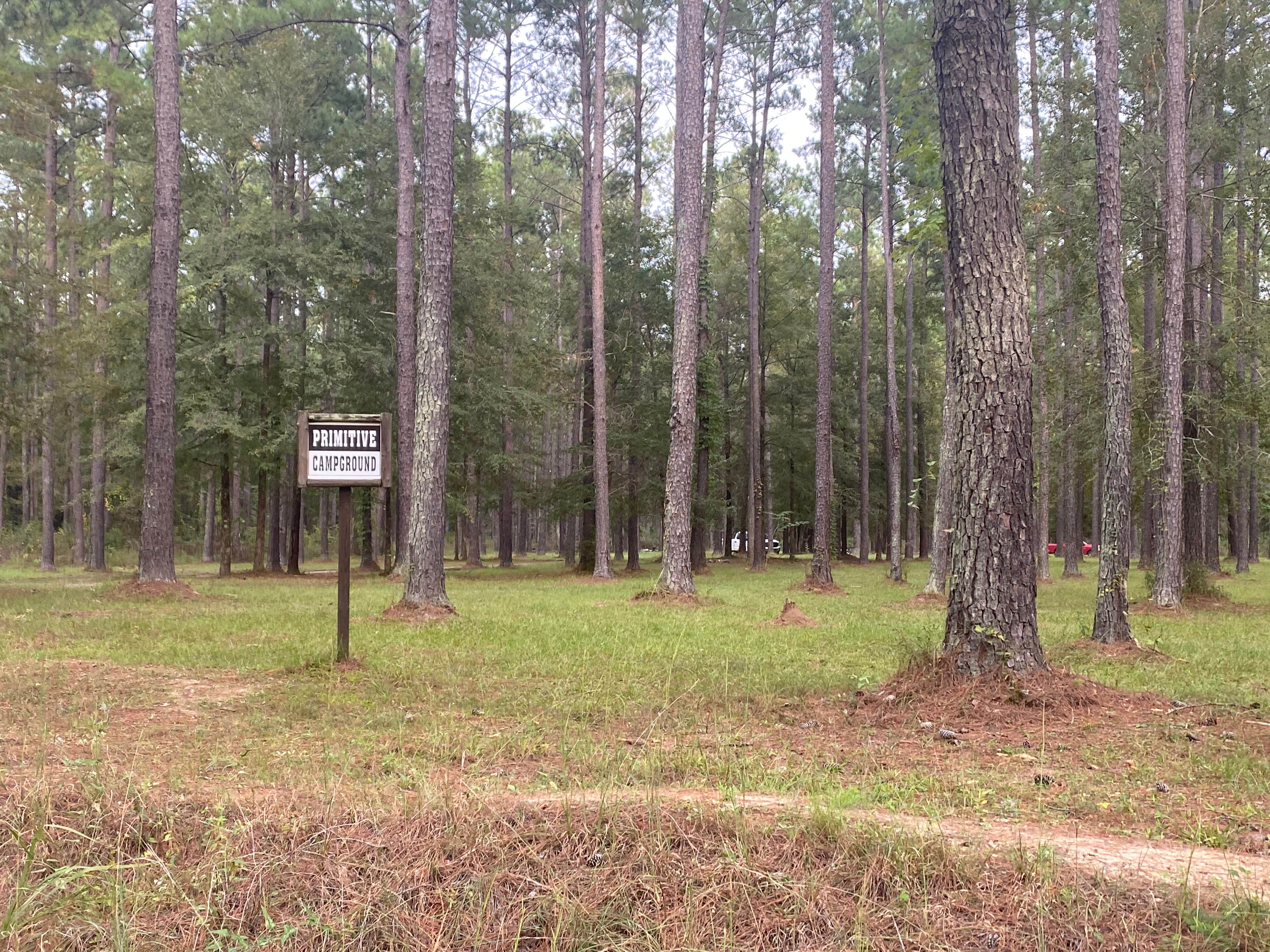 Camper-submitted photo at Jeff Davis County Towns Bluff Park RV Park and Campground near Nicholls, GA