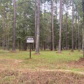 Review photo of Jeff Davis County Towns Bluff Park RV Park and Campground by Monte W., October 3, 2020
