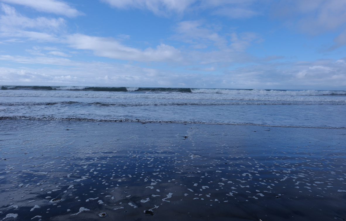 Camper submitted image from Westport Recreation Park - 3