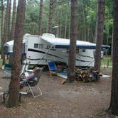 Review photo of Cook Forest State Park Campground & Cabins by Erin H., July 8, 2016