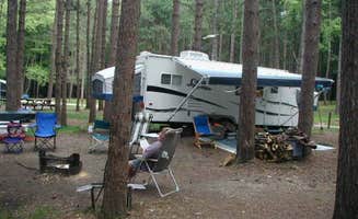 Erin H.'s photo of rv camping at Cook Forest State Park Campground & Cabins near Glen Campbell, PA