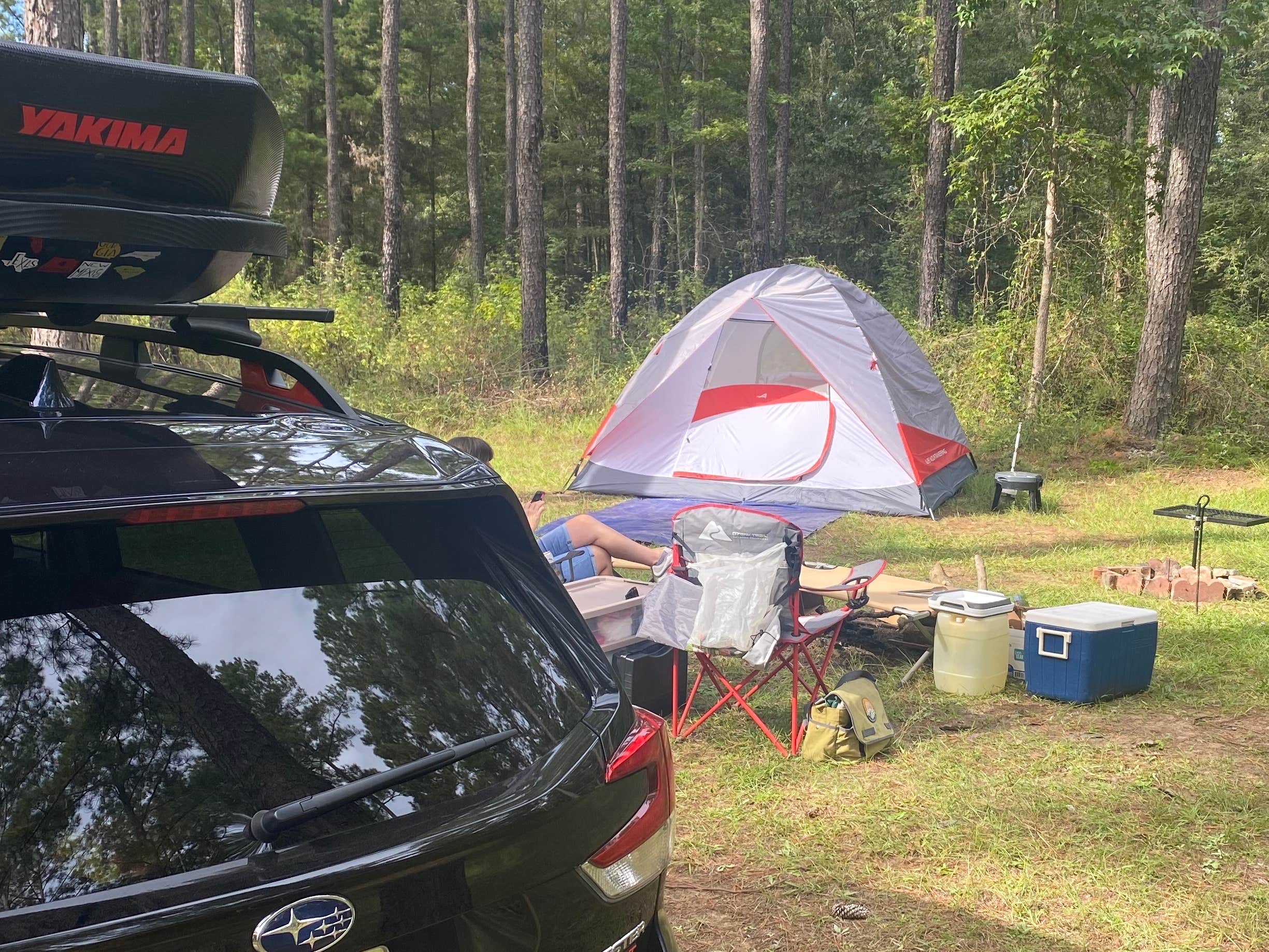 Camper-submitted photo at Jeff Davis County Towns Bluff Park RV Park and Campground near Nicholls, GA