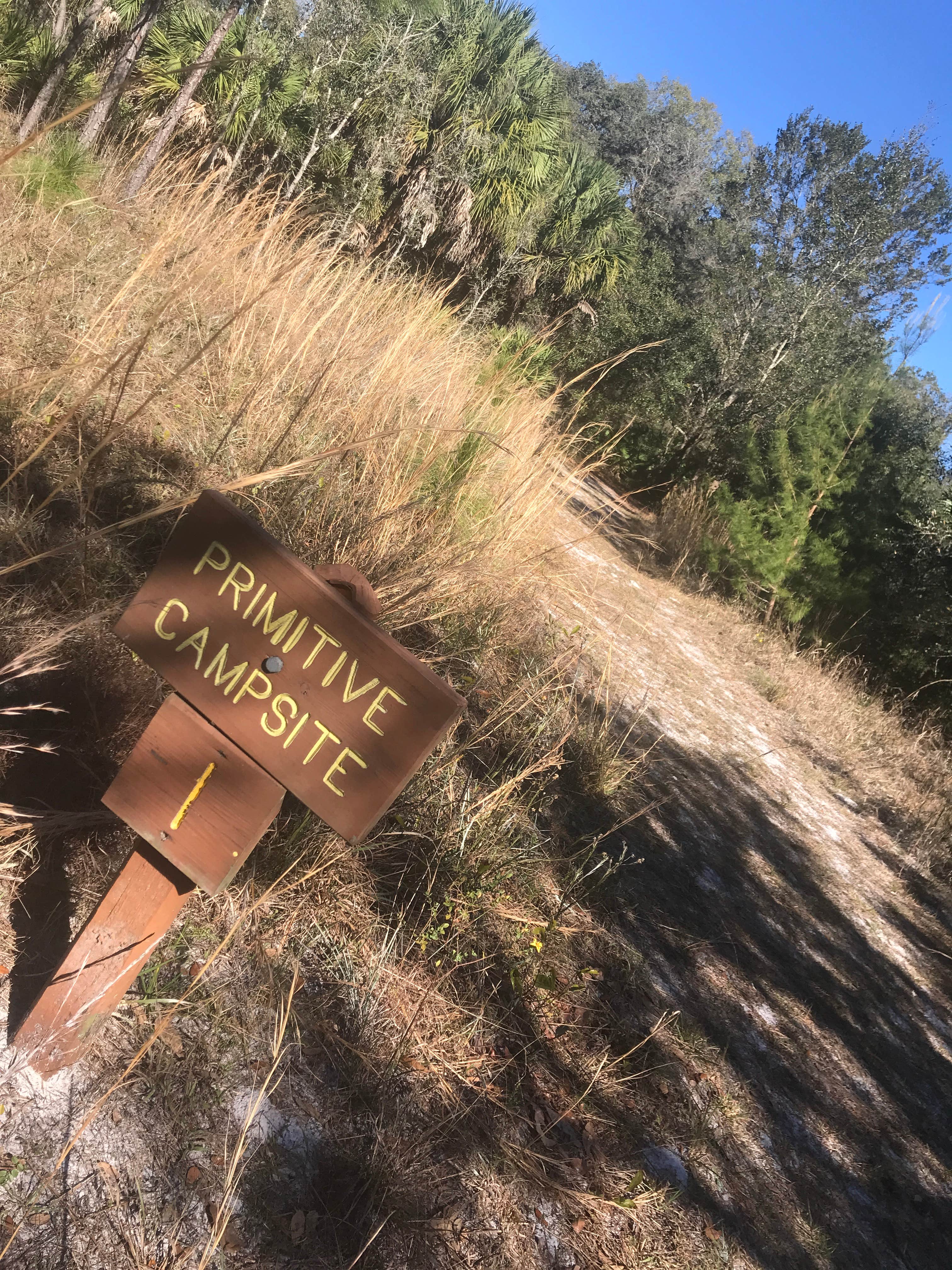 Camper submitted image from Jay B. Starkey Wilderness Park - 4