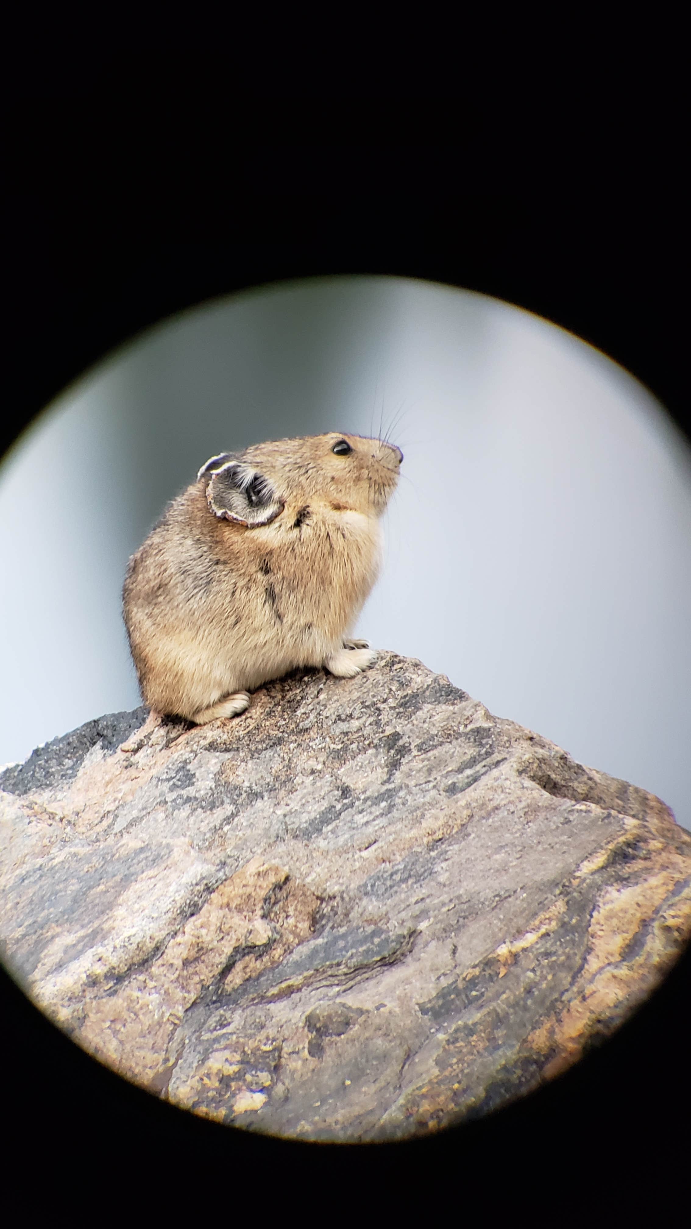Camper-submitted photo at Chinns Lake Dispersed Camping near Silver Plume, CO