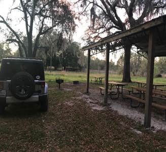 Camper-submitted photo from Green Swamp — Hampton Tract
