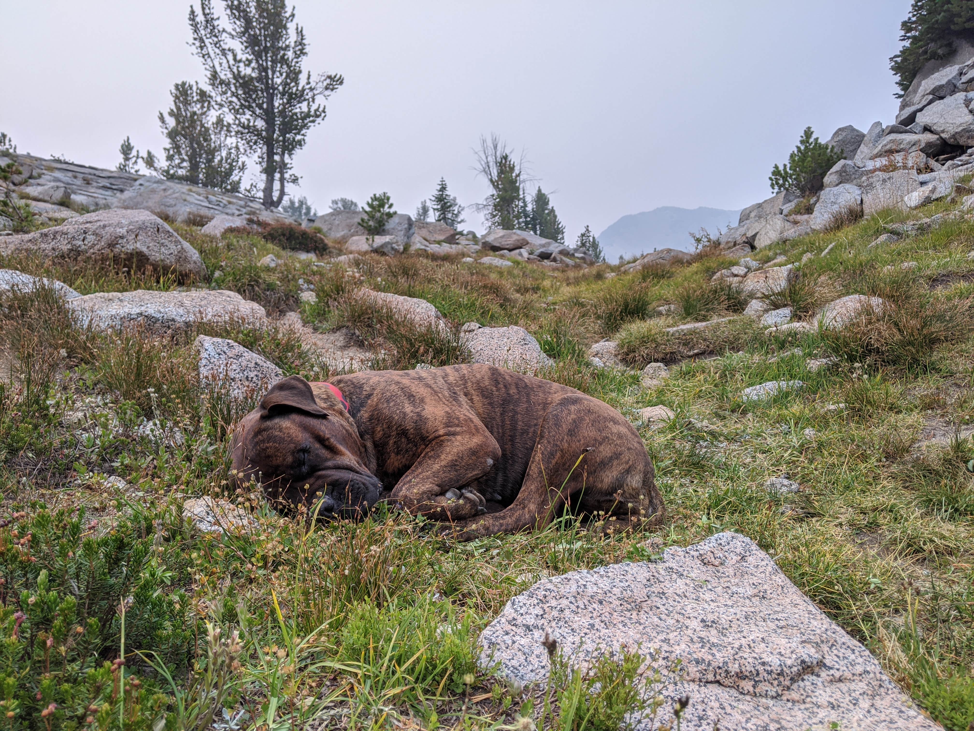 Camper submitted image from Echo Lake Dispersed Camping - 3