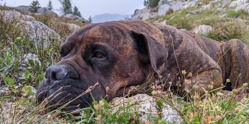 Camper submitted image from Echo Lake Dispersed Camping