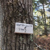 Review photo of George Washington State Campground by Andrew P., October 4, 2020