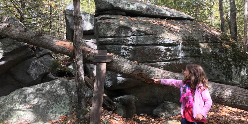 Camper submitted image from George Washington State Campground