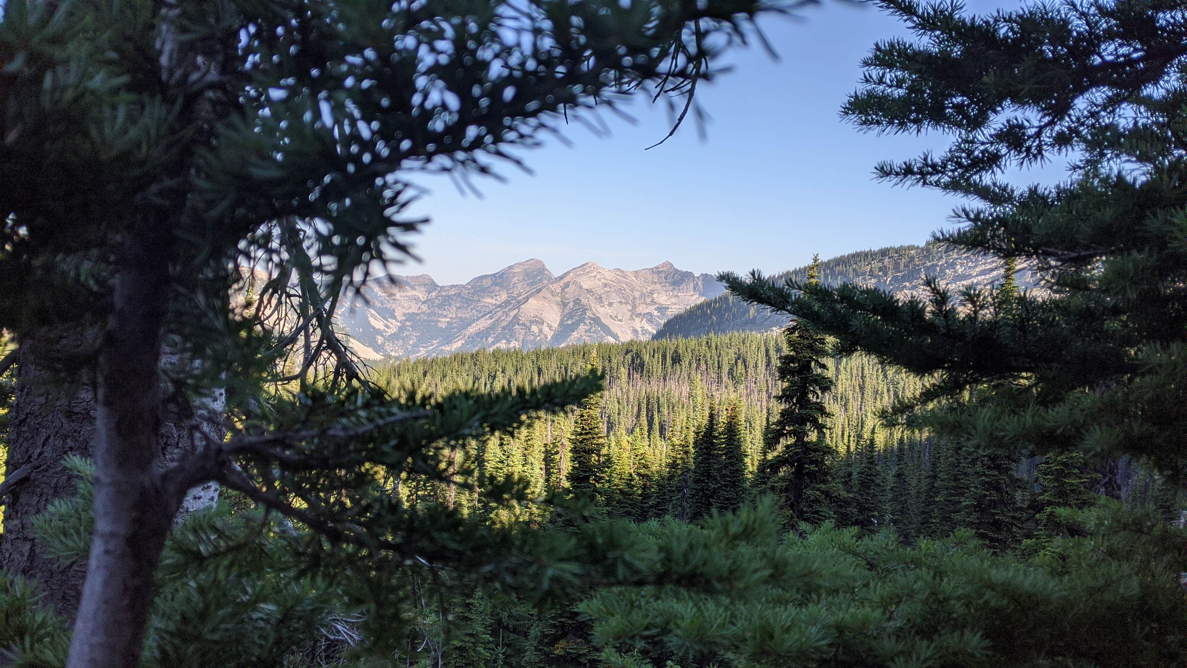 Camper submitted image from Engle Lake Dispersed Camping - 2