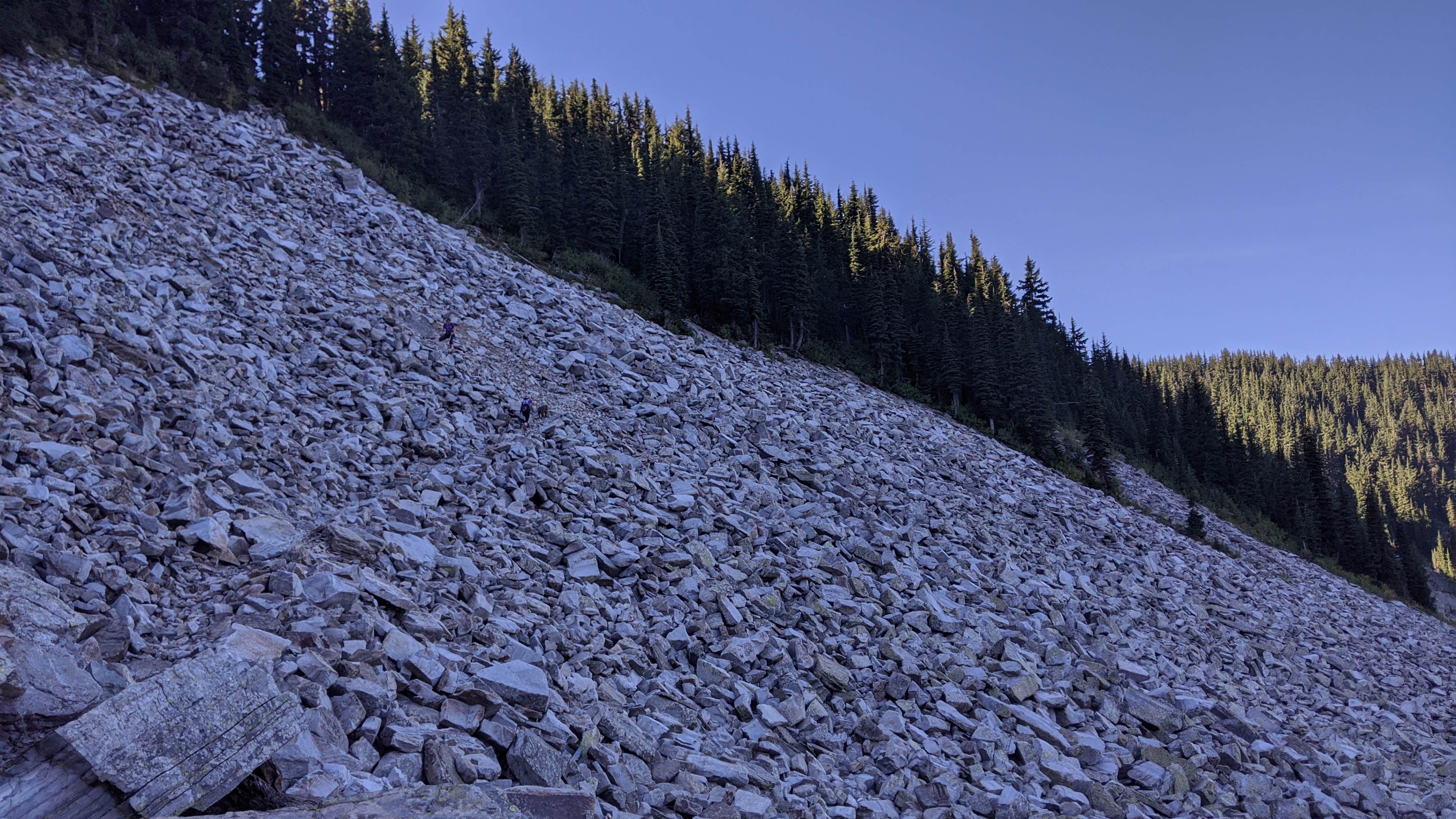 Camper submitted image from Engle Lake Dispersed Camping - 5