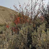 Review photo of Great Horned Owl Campground — Deer Creek State Park by Mariah G., October 4, 2020