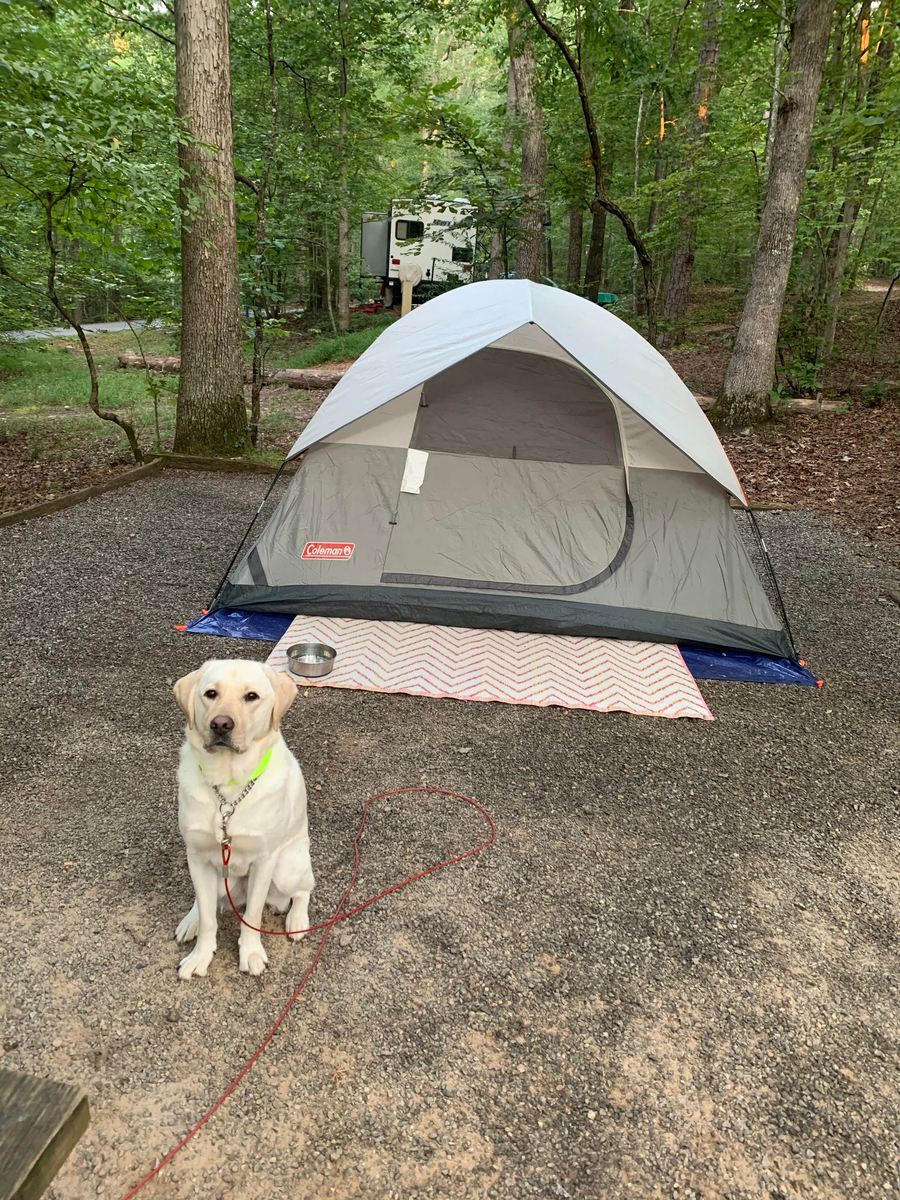 Marci S.'s photo at Lake Powhatan — National Forests In North Carolina near Biltmore Forest, NC