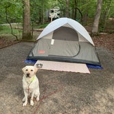 Review photo of Lake Powhatan Campground by Marci S., October 4, 2020