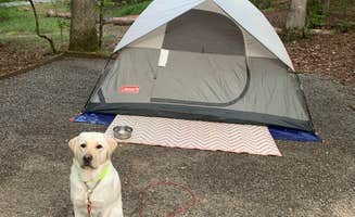 Marci S.'s photo at Lake Powhatan — National Forests In North Carolina near Biltmore Forest, NC