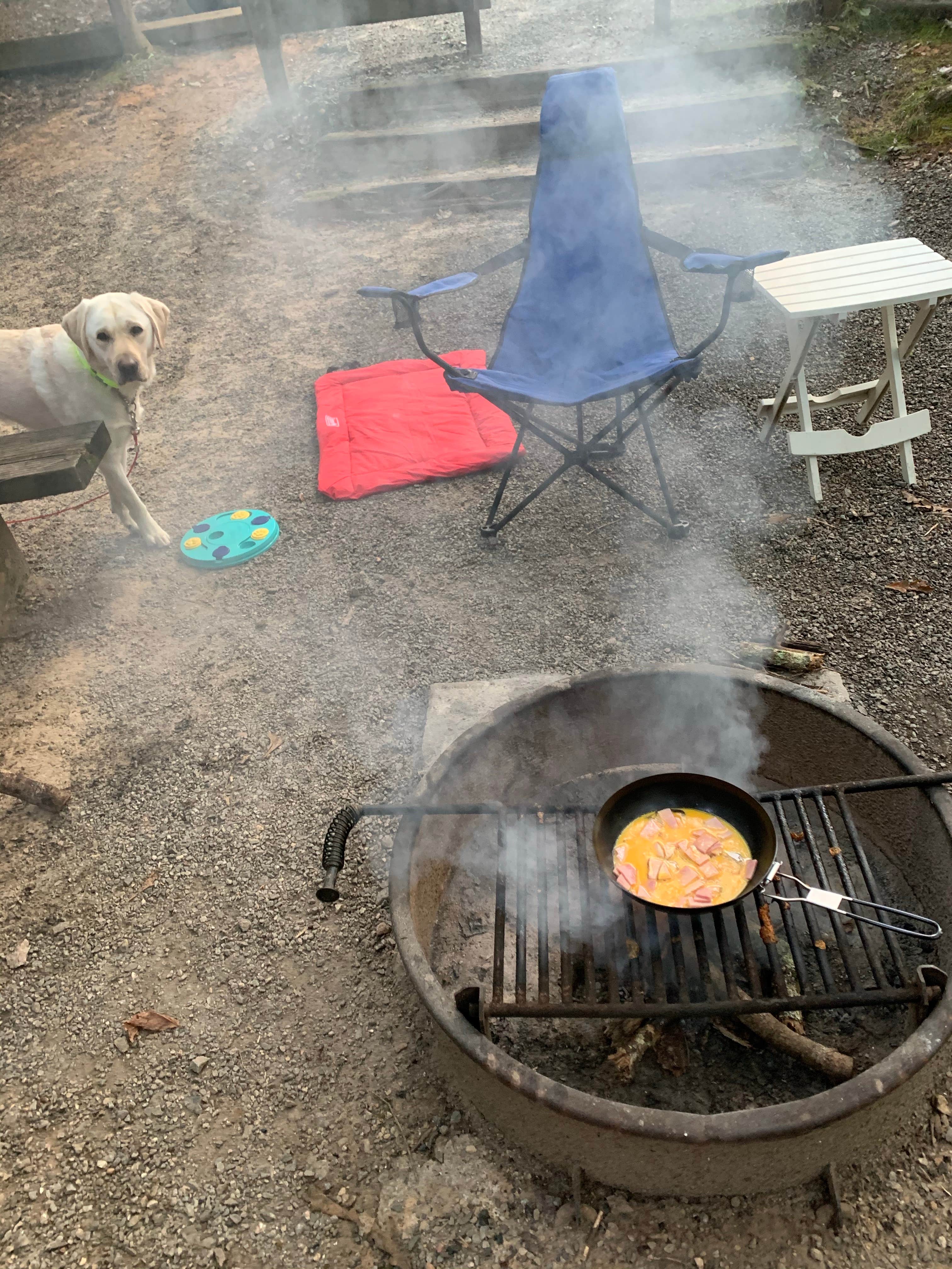 Marci S.'s photo of camping with pets at Lake Powhatan — National Forests In North Carolina near Pisgah Forest, NC