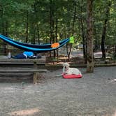 Review photo of Lake Powhatan Campground by Marci S., October 4, 2020