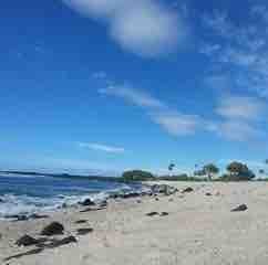 Camper submitted image from Kohanaiki Beach Park - 4