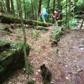 Review photo of Foster Falls Campground — South Cumberland State Park by Shelly S., July 8, 2016