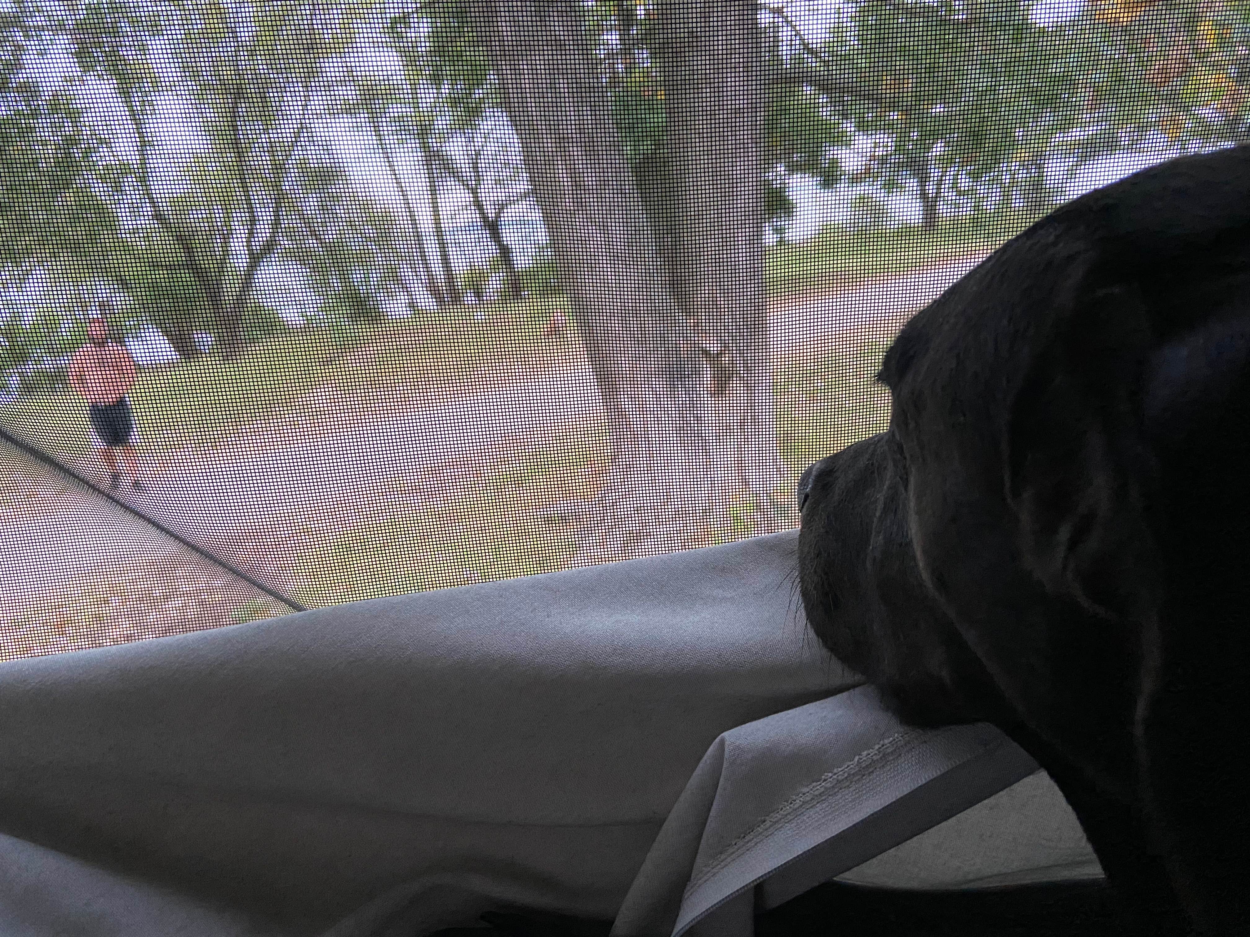 Camper-submitted photo at Boulder Bluff Area — El Dorado State Park near Augusta, KS