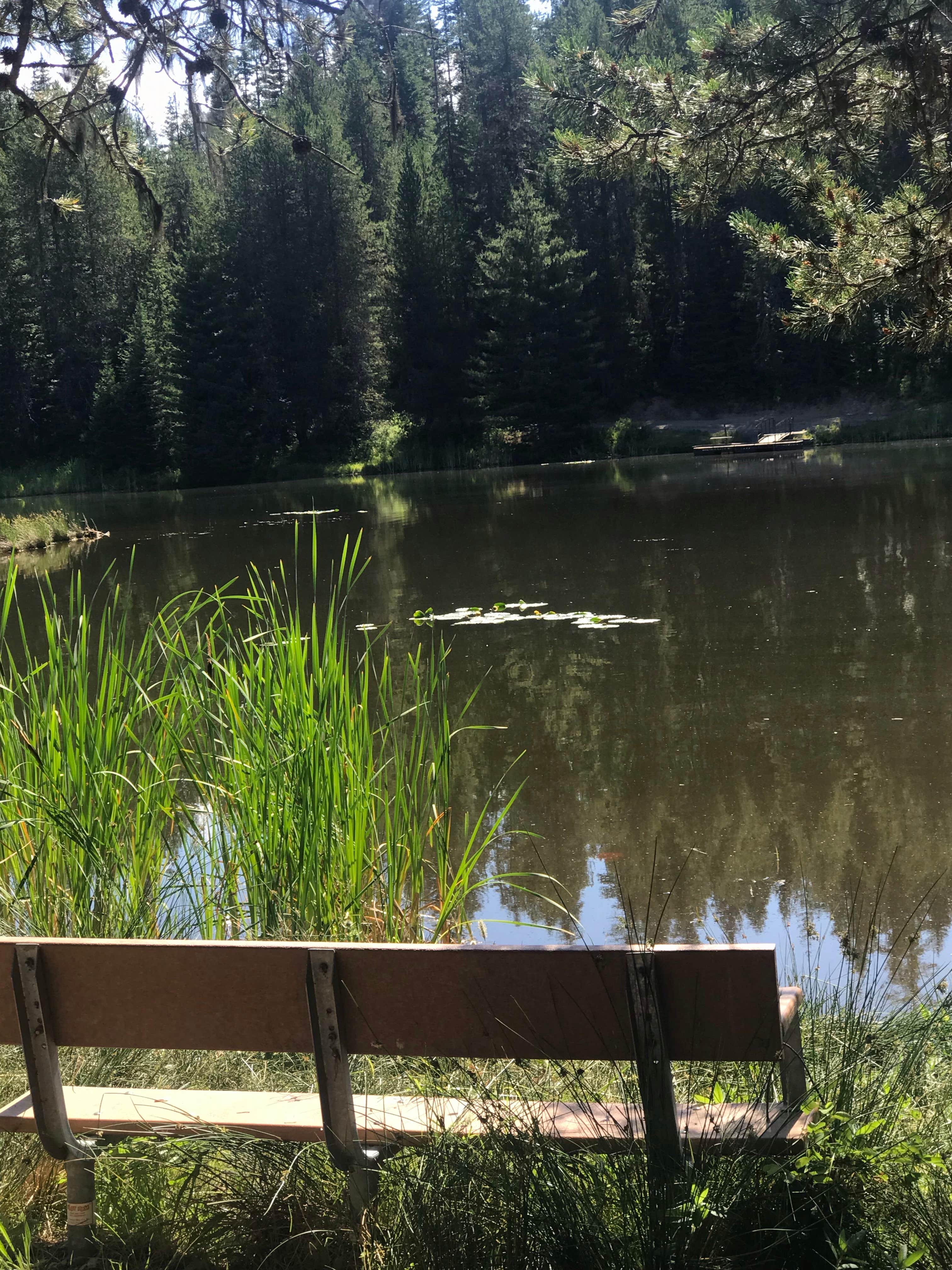 Camper-submitted photo at Moose Creek Reservoir Access near Santa, ID