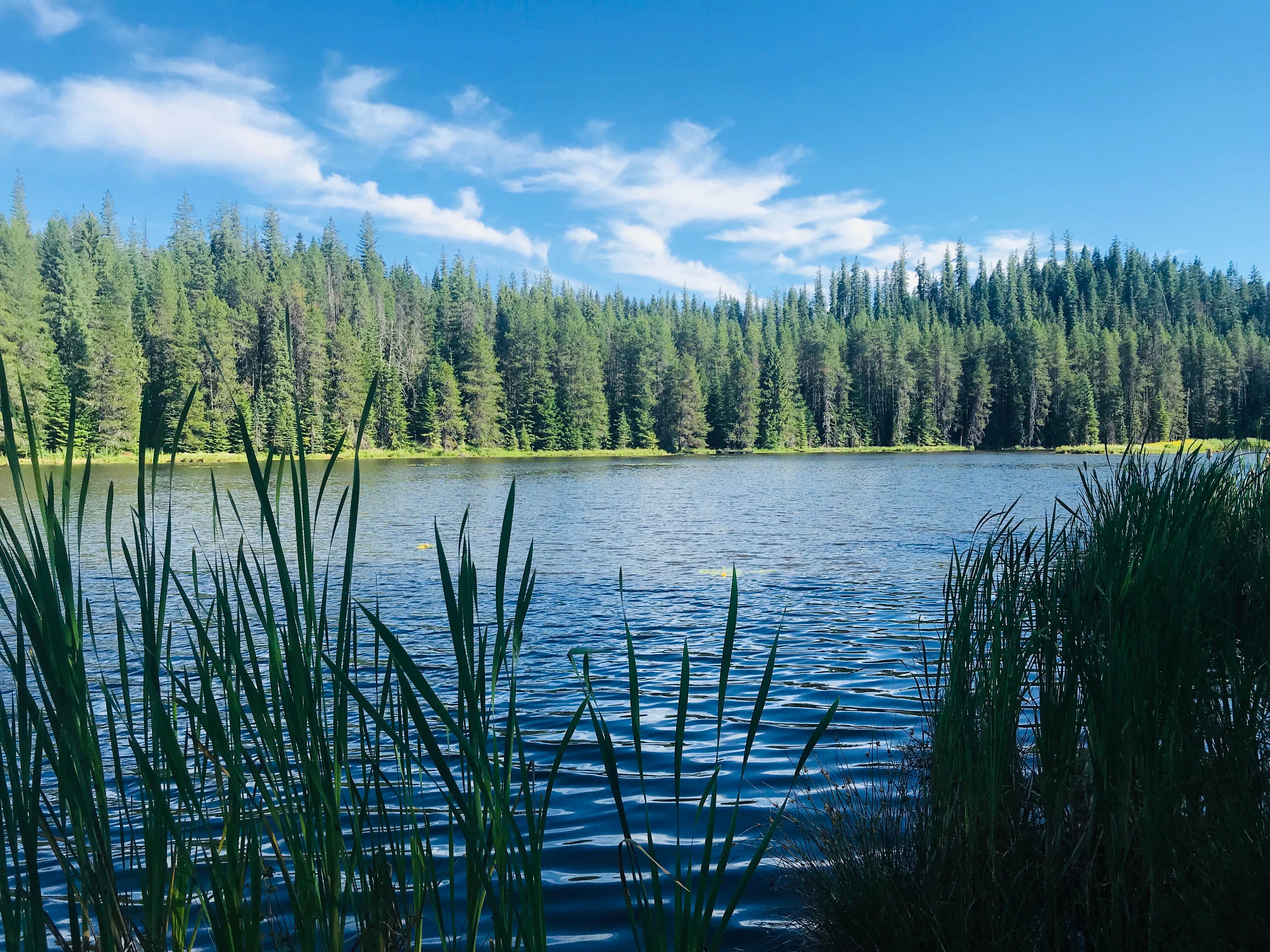 FunToSail: Moose Creek Reservoir, Latah County, Idaho