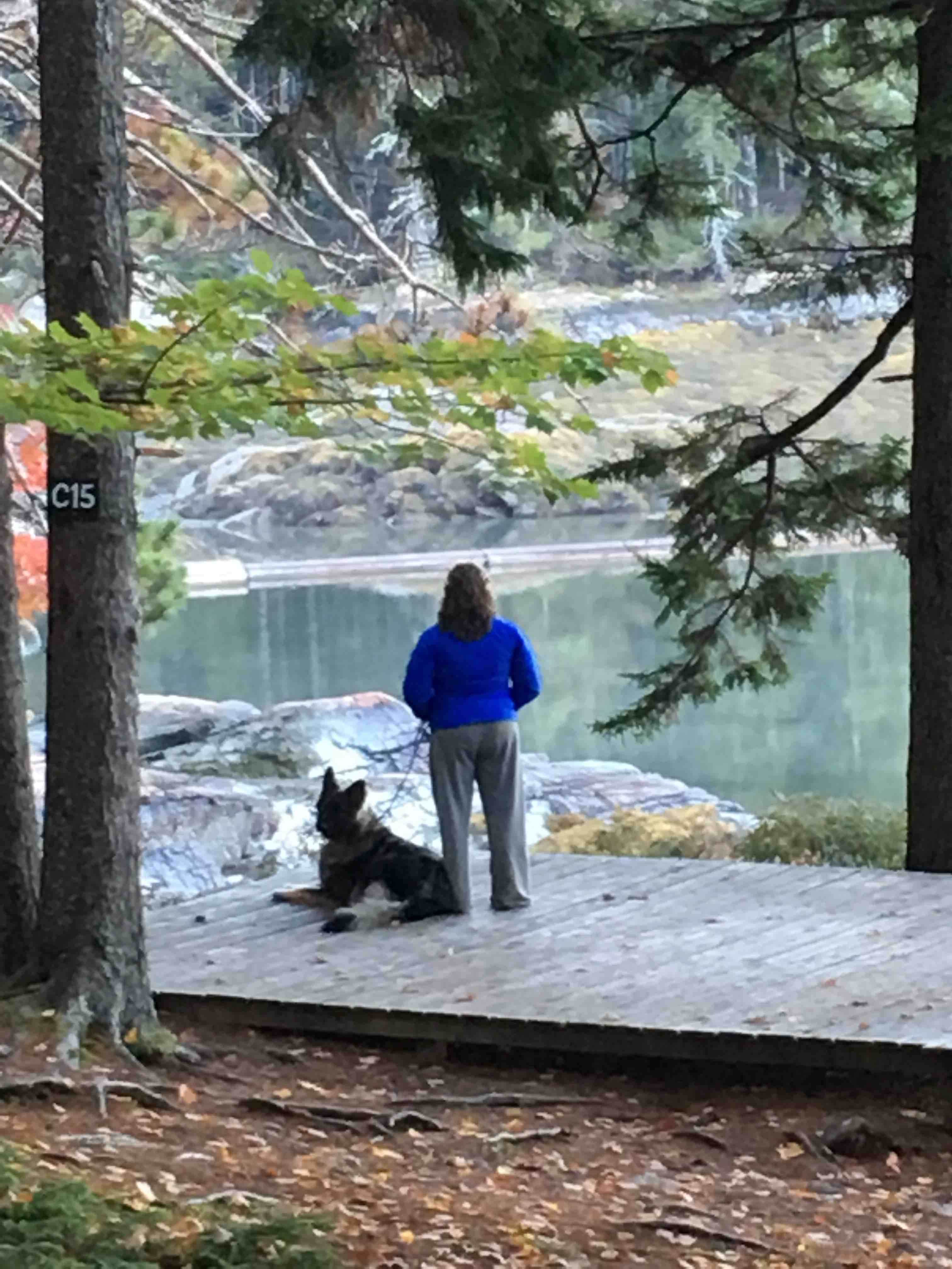 Camper submitted image from Mount Desert Campground - 3