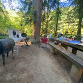 Review photo of Black Canyon Campground - Willamette NF by Todd M., October 4, 2020