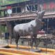 Three Rivers Resort & Campground
