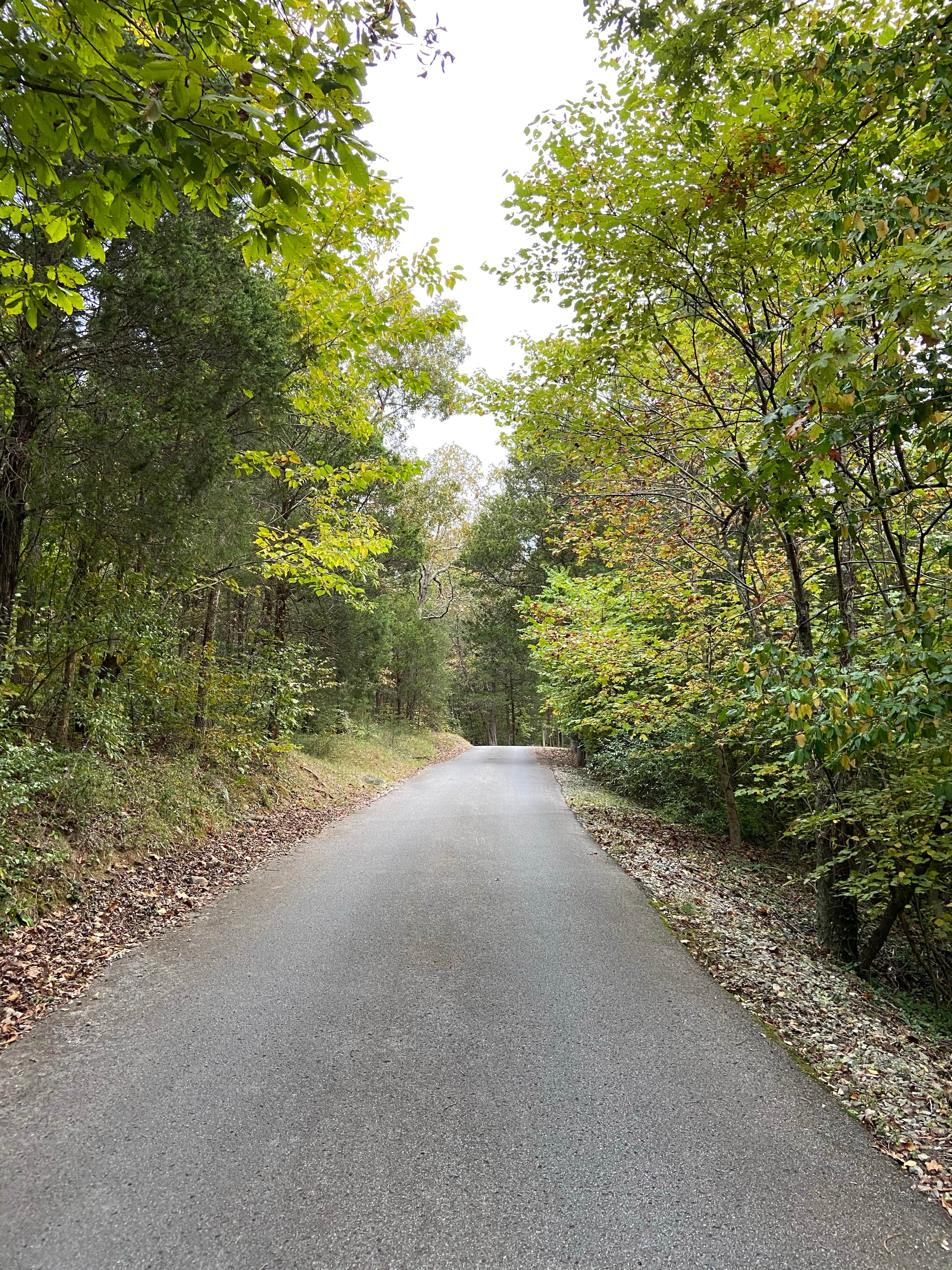 Camper-submitted photo at Dixon Springs State Park Campground near Stonefort, IL