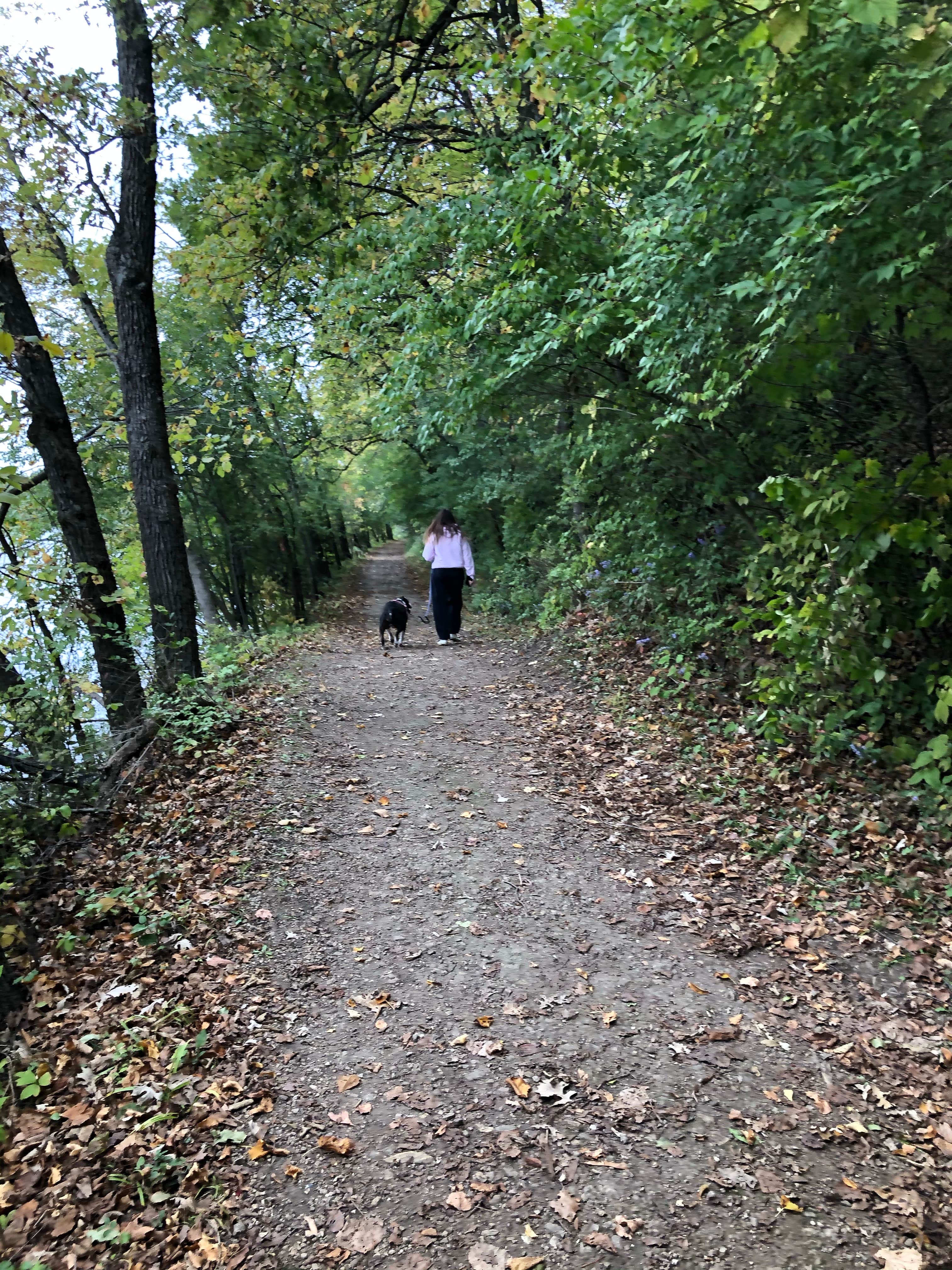 Rose F.'s photo of camping with pets at Lowden State Park Campground near Rochelle, IL