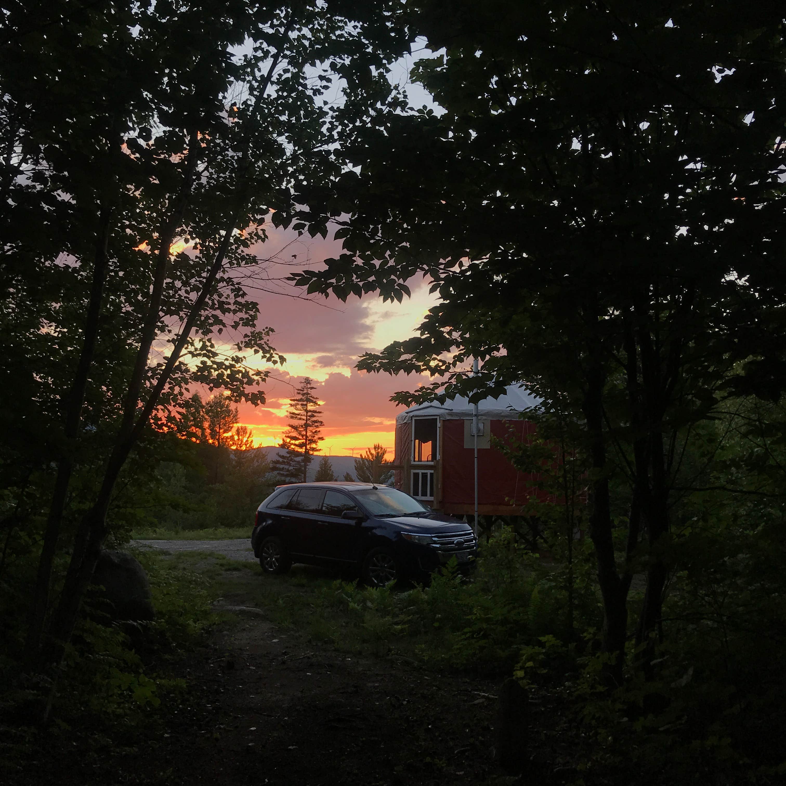 Camper submitted image from Wild Maine - The Birdhouse Yurt - 3