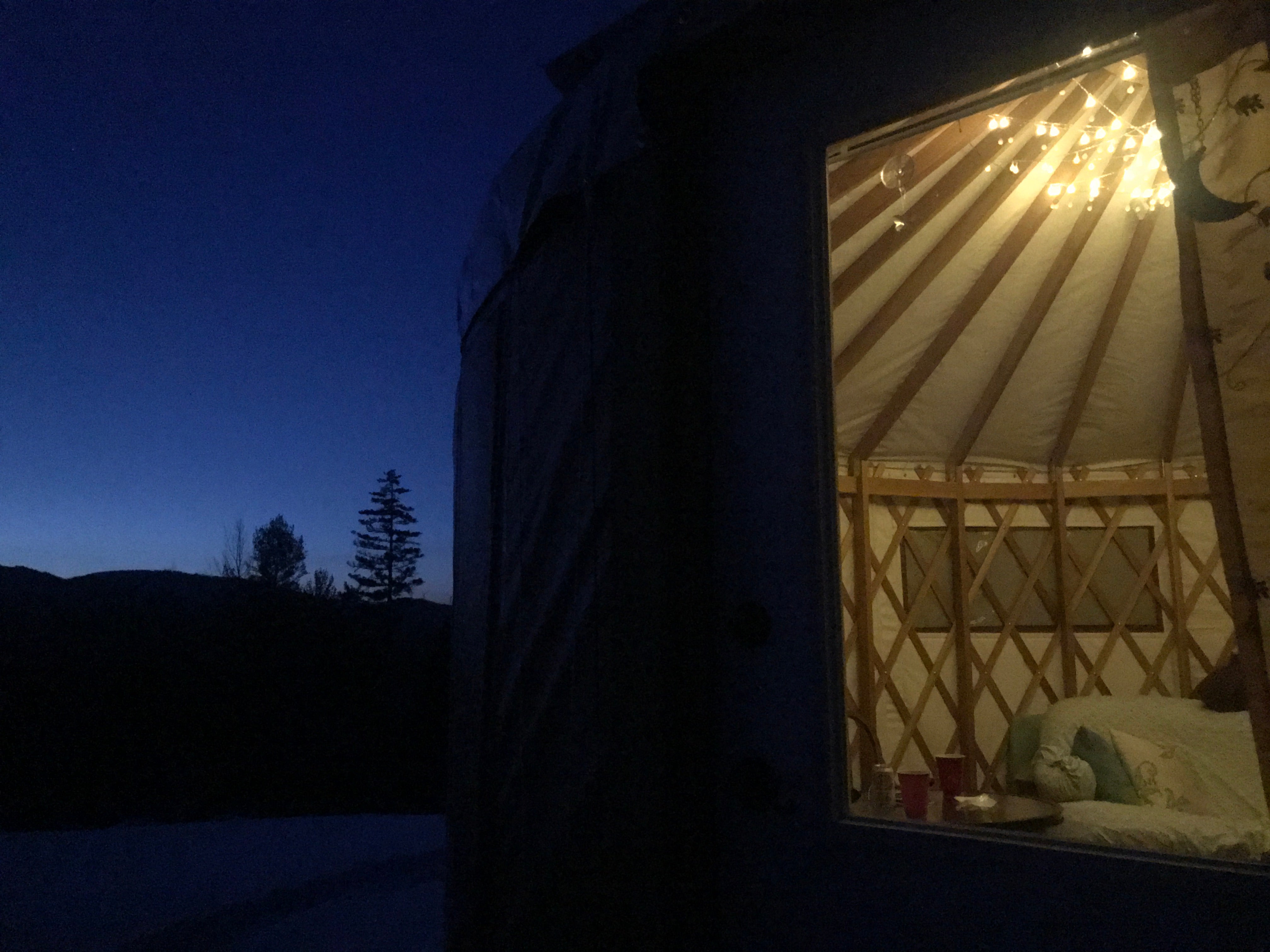 Camper submitted image from Wild Maine - The Birdhouse Yurt - 4