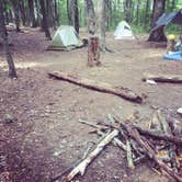 Review photo of Foster Falls Campground — South Cumberland State Park by Shelly S., July 8, 2016