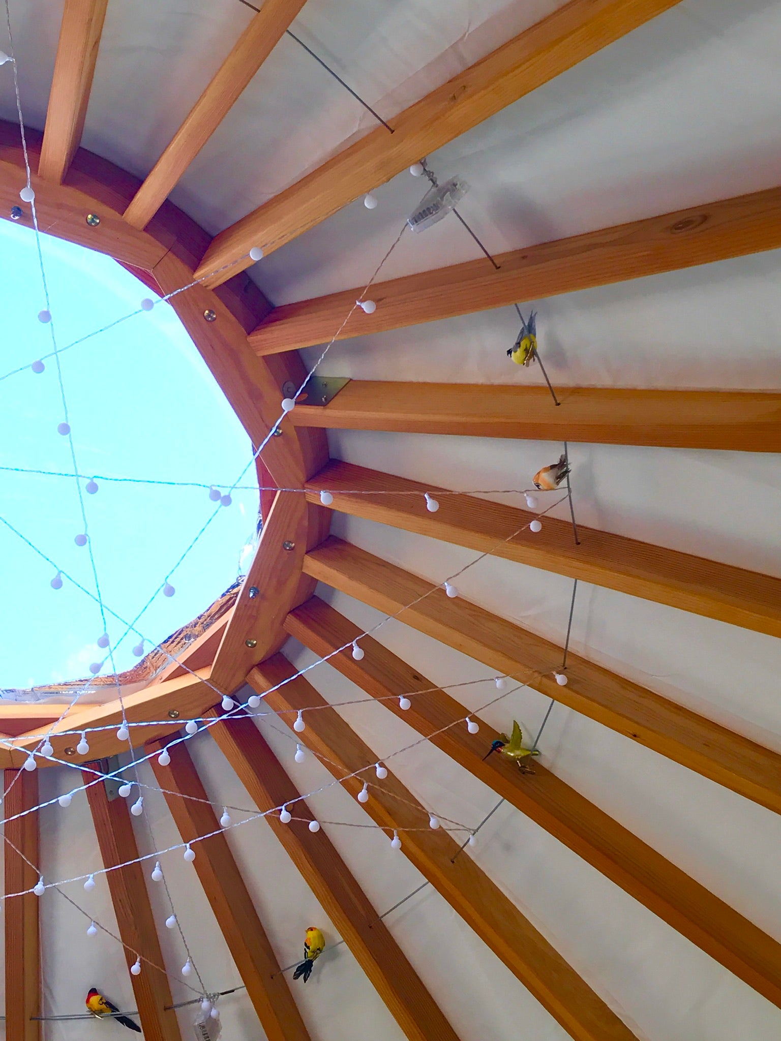 Camper submitted image from Wild Maine - The Birdhouse Yurt - 1