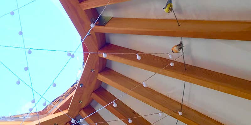 Camper submitted image from Wild Maine - The Birdhouse Yurt